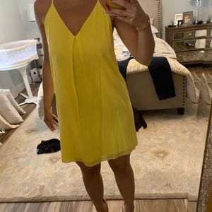 Alice and Olivia dress